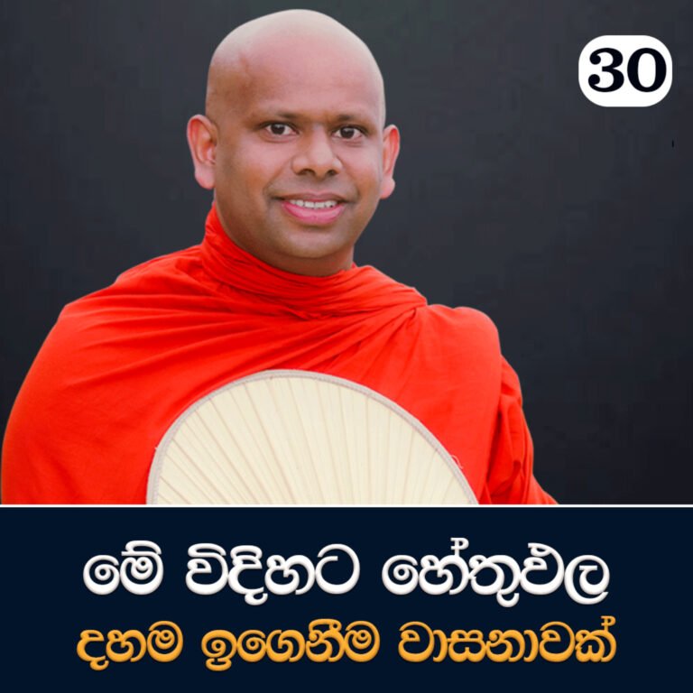 30. මේ විදිහට හේතුඵල දහම ඉගෙනීම වාසනාවක් | පටිච්ච සමුප්පාදය ඉගෙන ගමු |Ven. Welimada Saddaseela Thero