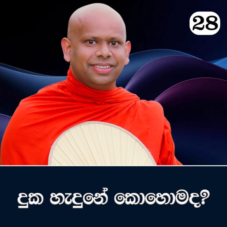 28. දුක හැදුනේ කොහොමද? | පටිච්ච සමුප්පාදය ඉගෙන ගමු | Ven. Welimada Saddaseela Thero