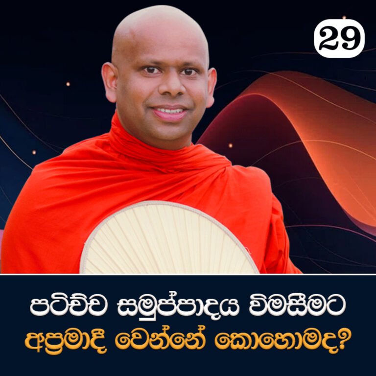 29. පටිච්ච සමුප්පාදය විමසීමට අප්රමාදී වෙන්නේ කොහොමද? | පටිච්ච සමුප්පාදය ඉගෙන ගමු